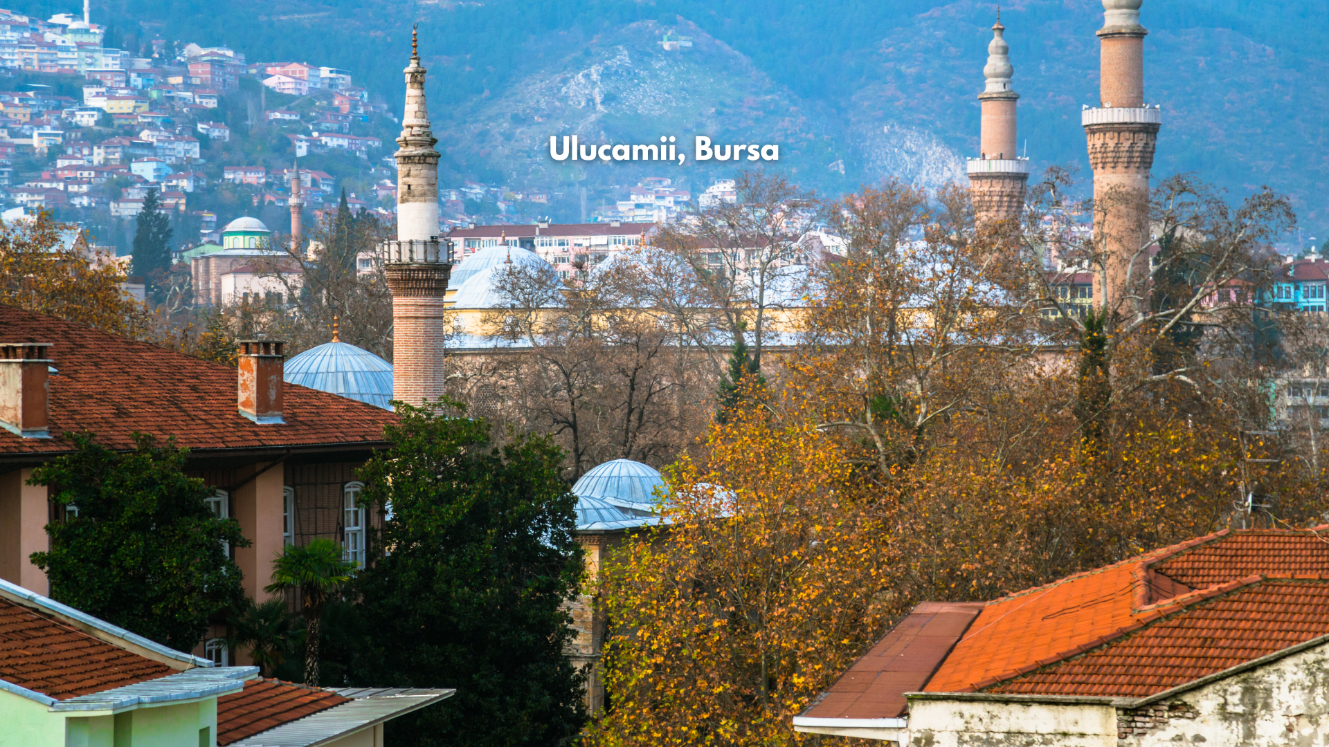 Ulucamii, Bursa (8)